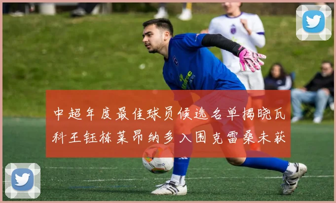 中超年度最佳球员候选名单揭晓瓦科王钰栋莱昂纳多入围克雷桑未获提名