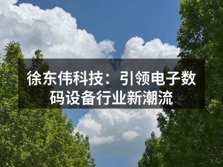 徐东伟科技：引领电子数码设备行业新潮流