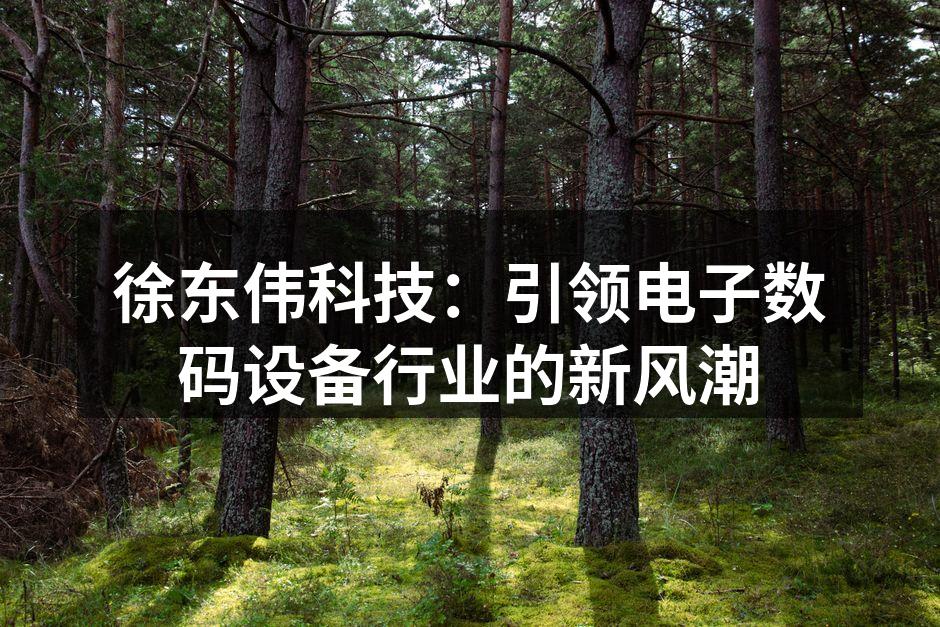 徐东伟科技：引领电子数码设备行业的新风潮